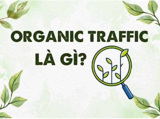 Organic traffic là gì ? cách tăng Organic traffic seach cho web của bạn